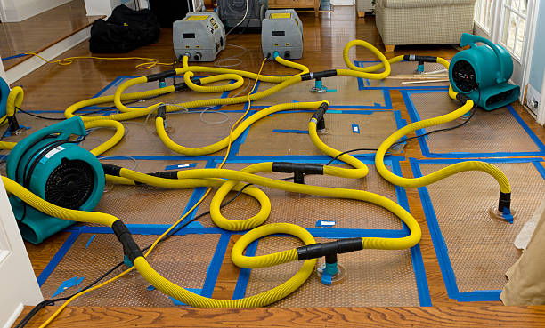 Professional Structural Drying And Dehumidification technician working in Forest Grove, OR